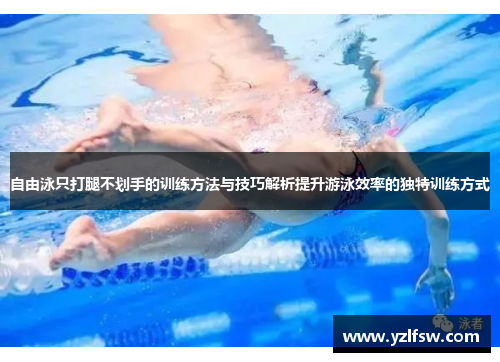 自由泳只打腿不划手的训练方法与技巧解析提升游泳效率的独特训练方式