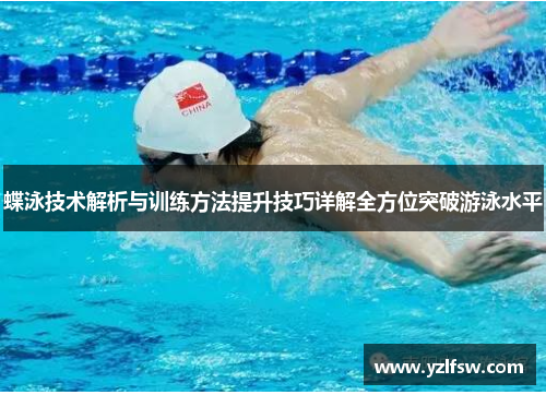 蝶泳技术解析与训练方法提升技巧详解全方位突破游泳水平